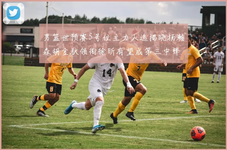 男篮世预赛5号位主力人选揭晓杨瀚森胡金秋领衔徐昕有望成第三中锋