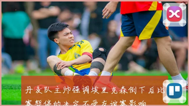 丹麦队主帅强调埃里克森倒下后比赛暂停的决定不受友谊赛影响